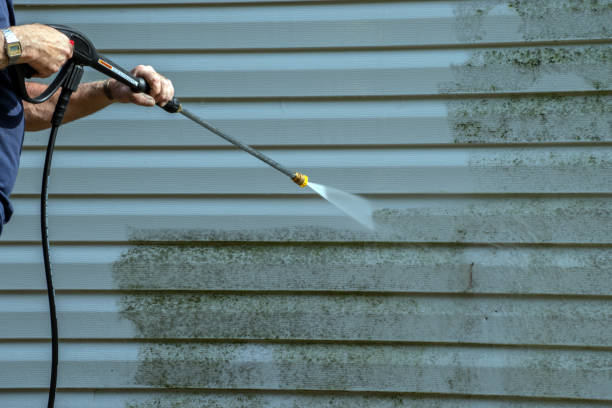 Best Pool Deck Cleaning  in , AK